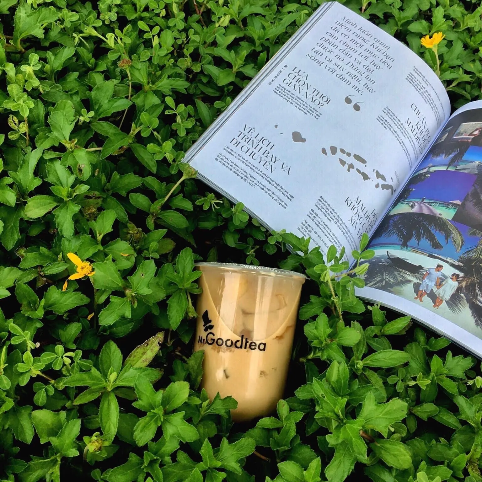 Hình ảnh Trà sữa oolong