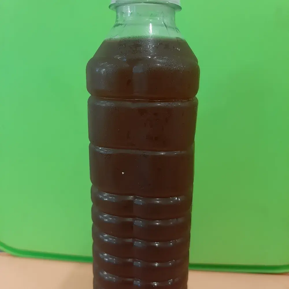 Hình ảnh Sâm Lạnh