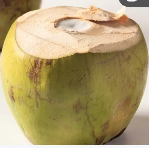 Hình ảnh Dừa trái
