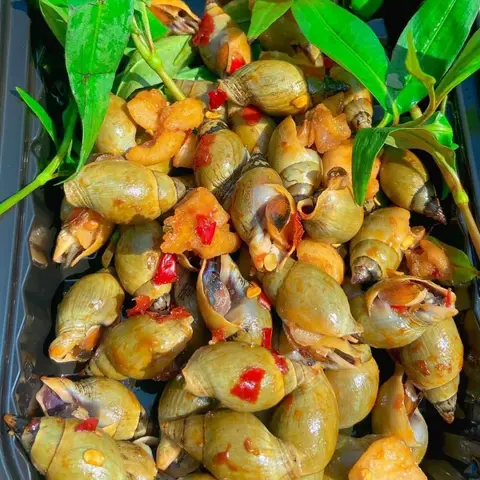 Hình ảnh Ốc cà na rang muối