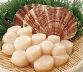 Hình ảnh Viên sò điệp