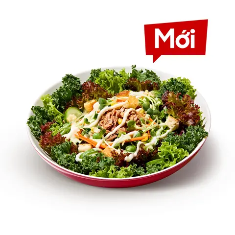 Hình ảnh Xà Lách Cá Ngừ Cải Kale