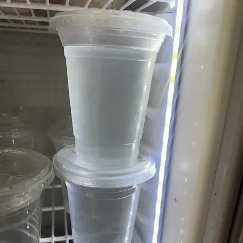 Hình ảnh Dừa ly ướp lạnh