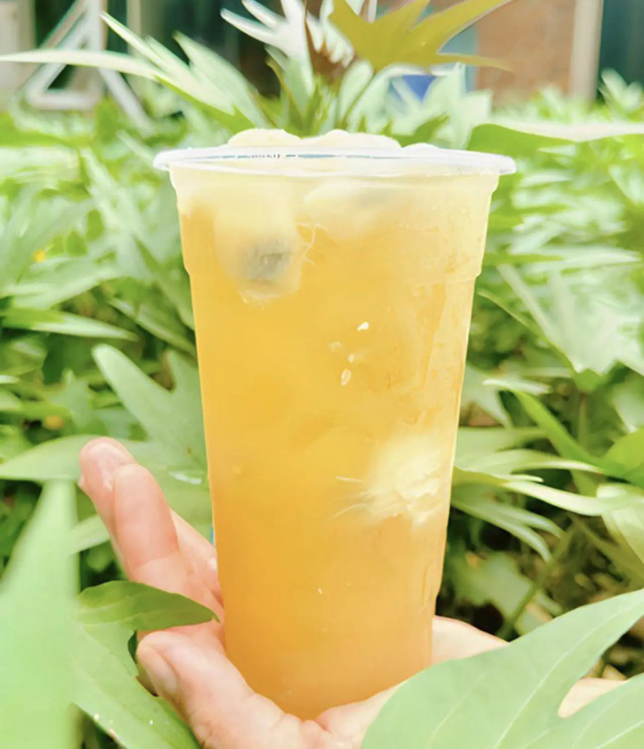 Hình ảnh Trà mứt mãng cầu