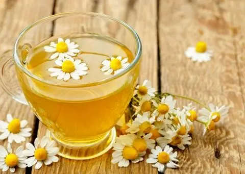 Hình ảnh Trà hoa cúc thảo mộc