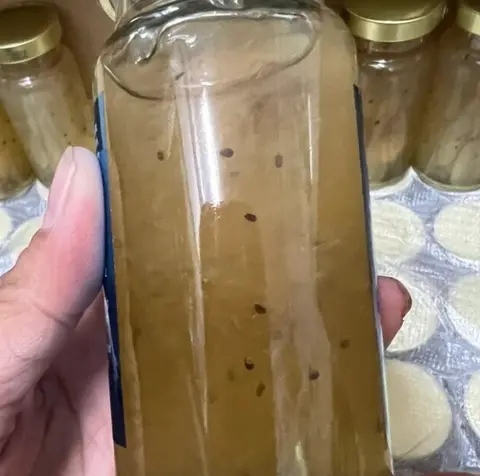 Hình ảnh Nhãn nhục hạt chia