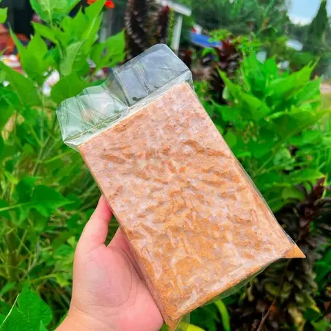 Hình ảnh XIKE DẸP