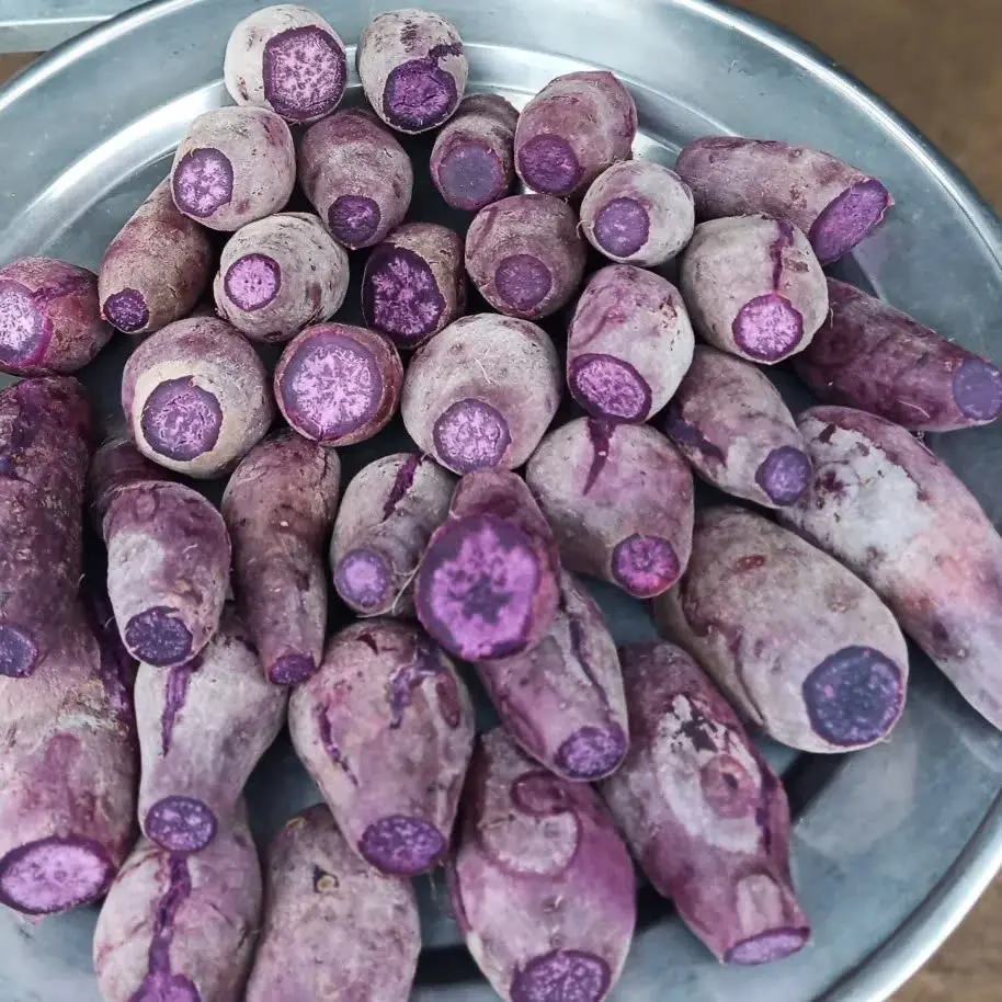 Hình ảnh Khoai tím