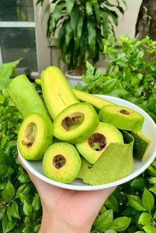 Hình ảnh Sinh tố bơ