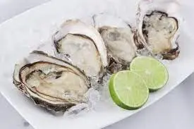 Hình ảnh Hàu mù tạc 2 con