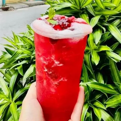 Hình ảnh Trà atiso đặc biệt