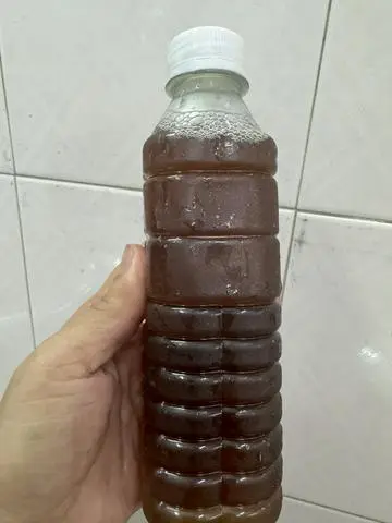 Hình ảnh Nước sâm đường phèn nguyên chất