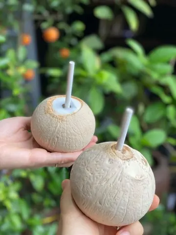 Hình ảnh Dừa xiêm lạnh