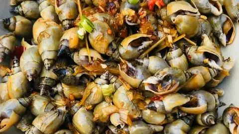 Hình ảnh Ốc cà na xào sa tế