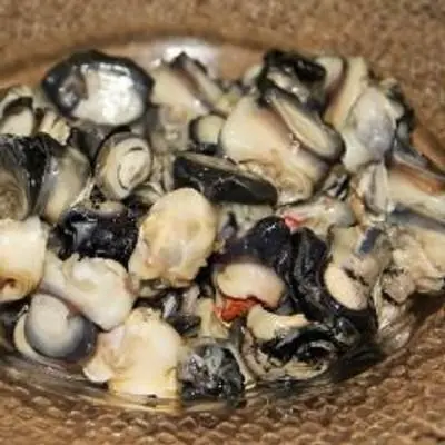 Hình ảnh Ốc thêm
