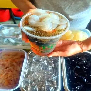 Hình ảnh Sâm cúc sương sáo thốt nốt