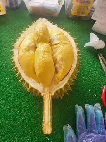 Hình ảnh Sầu riêng ri 6 - 800gr