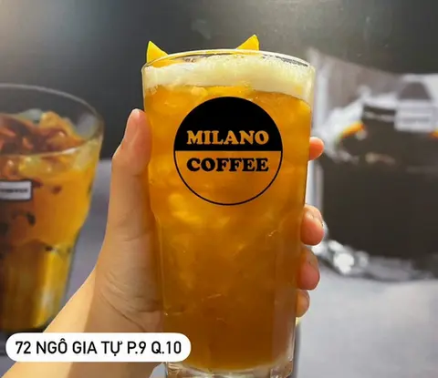 Hình ảnh Trà Dưa Lưới