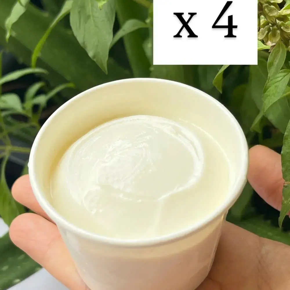 Hình ảnh (Không đường TT) Combo 4 hũ 125G sữa chua Hy Lạp lên men truyền thống 