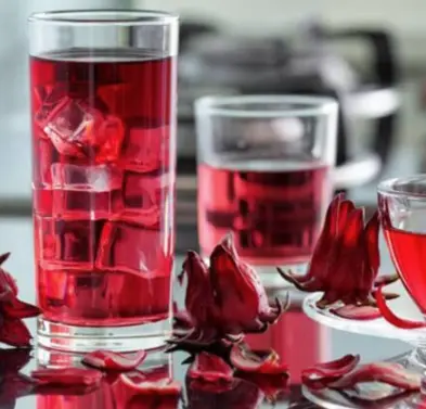Hình ảnh Trà hoa hibicus 