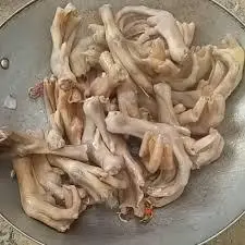 Hình ảnh Chân vịt