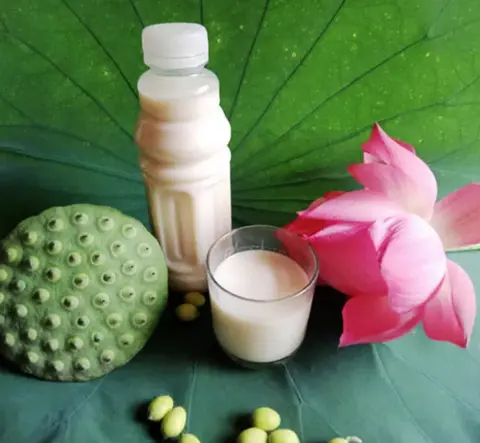 Hình ảnh Sữa đậu sen nhãn