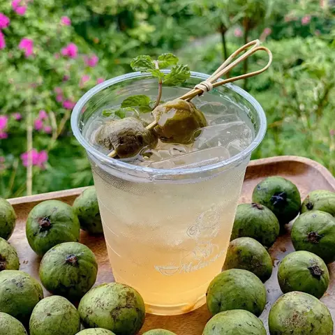 Hình ảnh Nước sấu