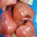 Hình ảnh Mận