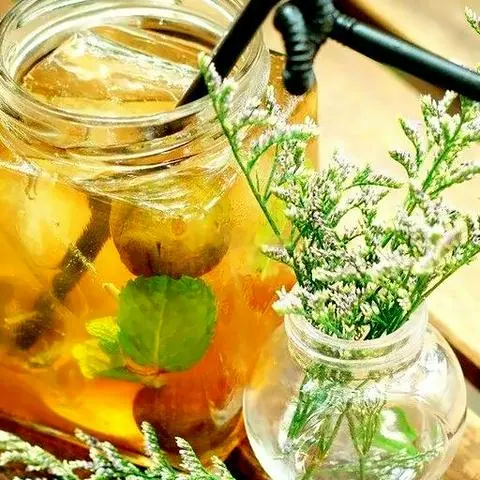 Hình ảnh Nước sấu