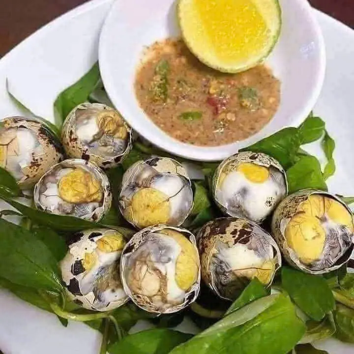 Hình ảnh Cút lộn - 10 trứng