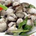Hình ảnh Sò huyết nướng mọi