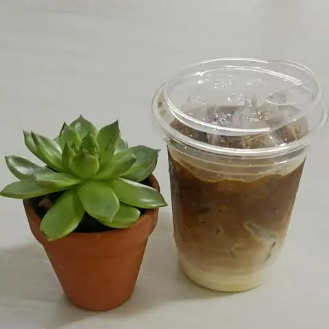 Hình ảnh Bạc xỉu