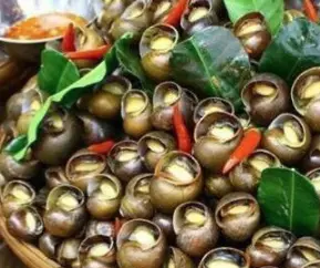 Hình ảnh Ốc bươu hấp sả