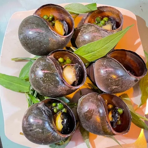 Hình ảnh Ốc bươu nướng tiêu