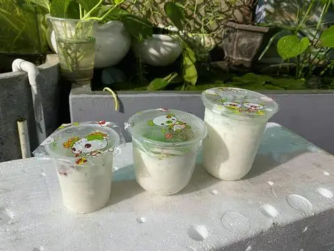 Hình ảnh Kem dừa vani
