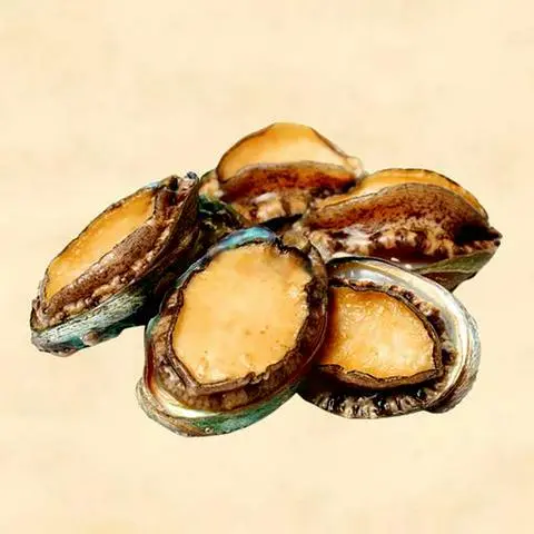 Hình ảnh Bào Ngư ( 1 Con )