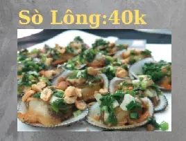 Hình ảnh Sò lông