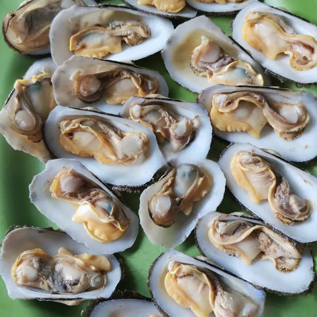 Hình ảnh Sò dẹo nướng mỡ hành