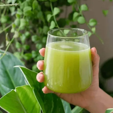 Hình ảnh Nước ép cóc
