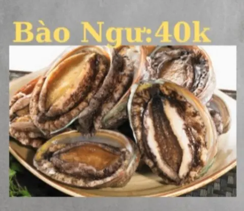 Hình ảnh Bào ngư