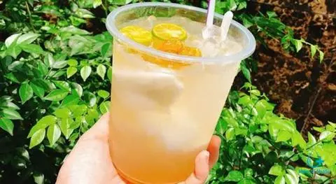 Hình ảnh Dừa tắc