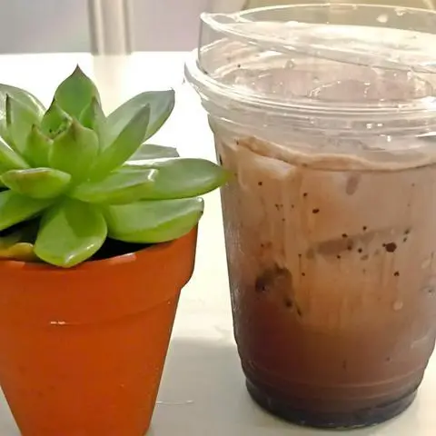Hình ảnh Cacao sữa