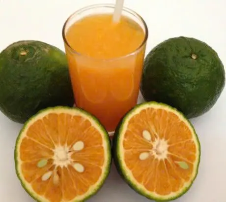 Hình ảnh Cam vắt