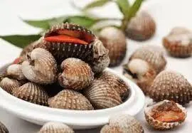 Hình ảnh Sò huyết la cốt