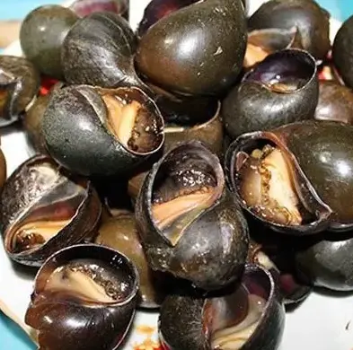 Hình ảnh Ốc bươu nướng mắm
