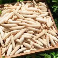 Hình ảnh Bánh con sùng 150g