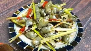 Hình ảnh Ốc cà na hấp sả