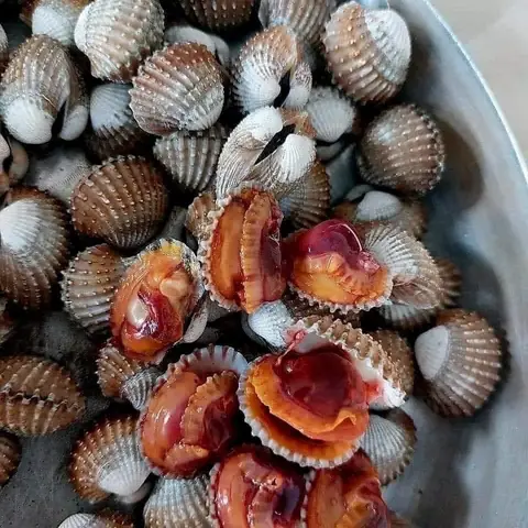 Hình ảnh Sò huyết nướng mọi