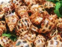 Hình ảnh Ốc hương xào sả ớt