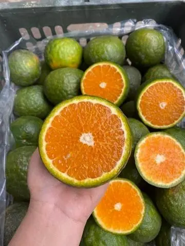 Hình ảnh Cam ép
